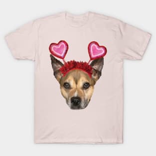 Pitbull Valentine T-Shirt